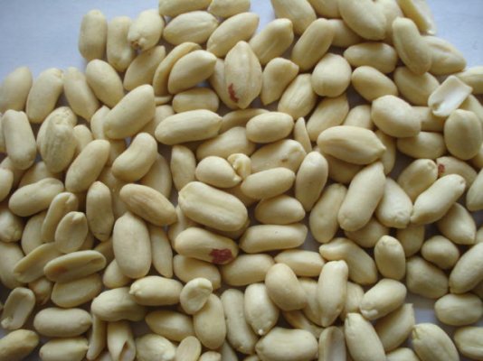 Blanched-Peanut-Kernel.jpg