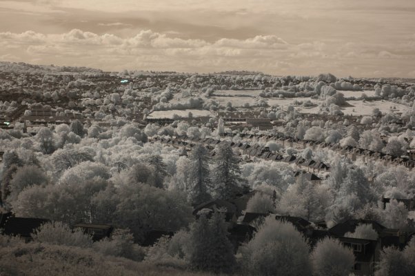 Bath from Primrose Hill resized for THs.JPG