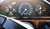 AMG Speedo 2.jpg