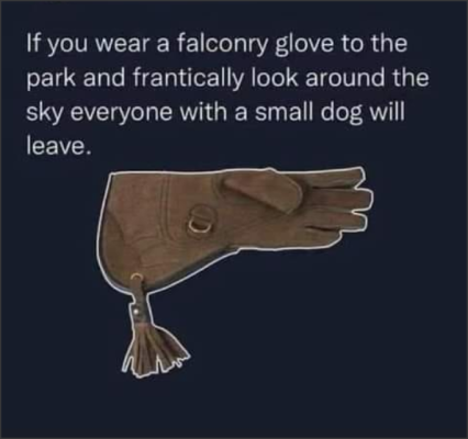 Falconry.png