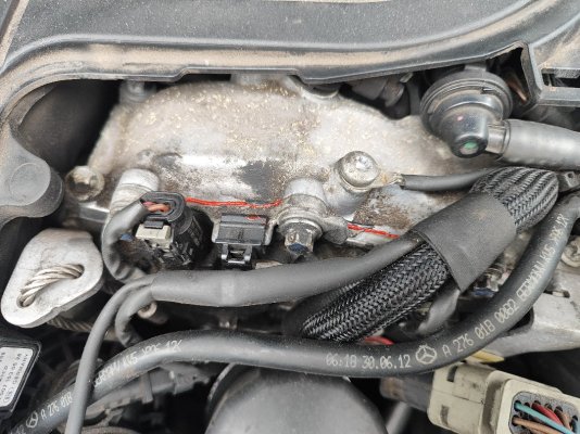 IMG_20250418_104845[1].jpg