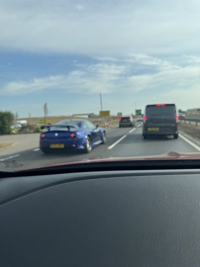 IMG_2773.jpeg