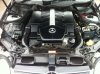 mercedes-clk-class-clk-coupe-petrol_9250456.jpg