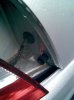 ML270 Rear Light Bush.jpg