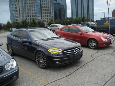 IMG_0322.jpg