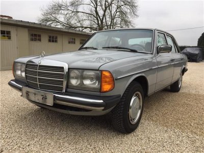 grey 230e.jpg