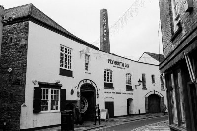 Plymouthgin (1 of 1).jpg