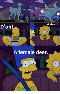 deer-doh-a-female-deer.png