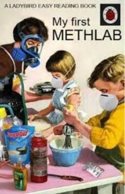 Ladybird Methlab.jpg