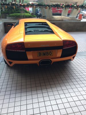 lambo.jpg