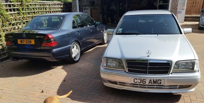 C36 AMG C55 AMG W202.jpg