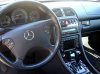Interior 2.jpg