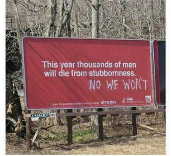 Stubborn.jpg