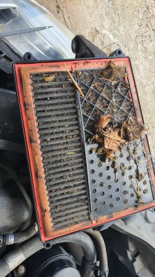 air filter w211 v 6 om642 blocked 1.jpg