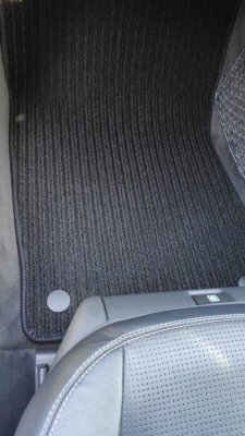 10 new nsf in car.jpg