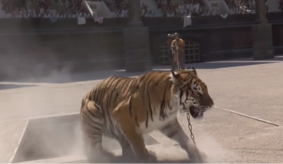 tiger.png