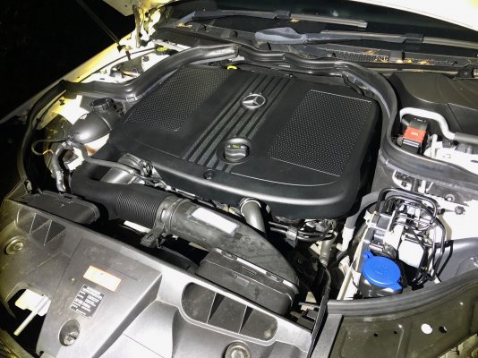 e250 engine bay.jpg