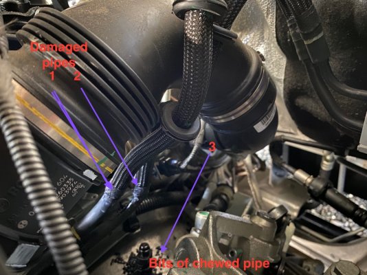 Fuel pipe - 1.jpg