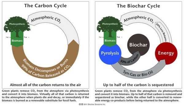 biocharcycle.jpg