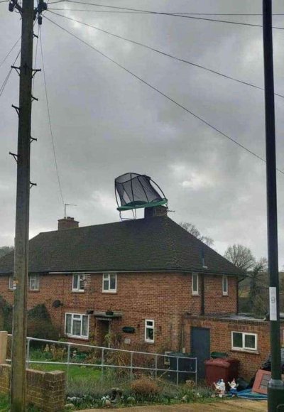 trampoline.jpeg