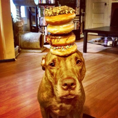 donut-stacking.jpg