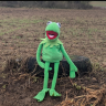 FrogsSL