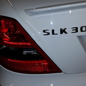 Dave SLK300 Sport R171