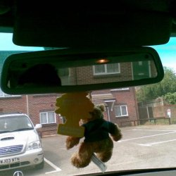 Auto-Dimming Rearview and the Car Mascot, Harlington.