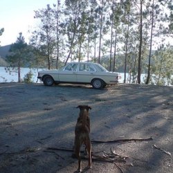 My Dear Old Pal admiring the 123.