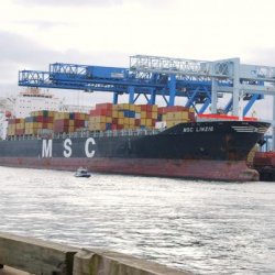 MSC LINZIE