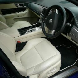 Nice Ivory Leather