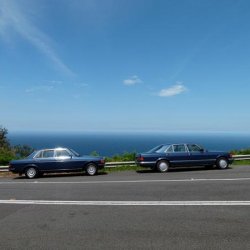 1985 W123 230E and a mate's 1991 W126 420SEL