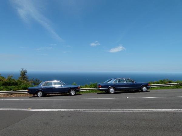 1985 W123 230E and a mate's 1991 W126 420SEL