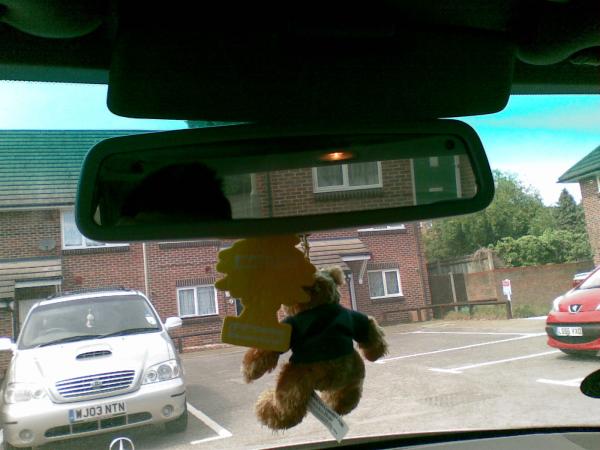 Auto-Dimming Rearview and the Car Mascot, Harlington.