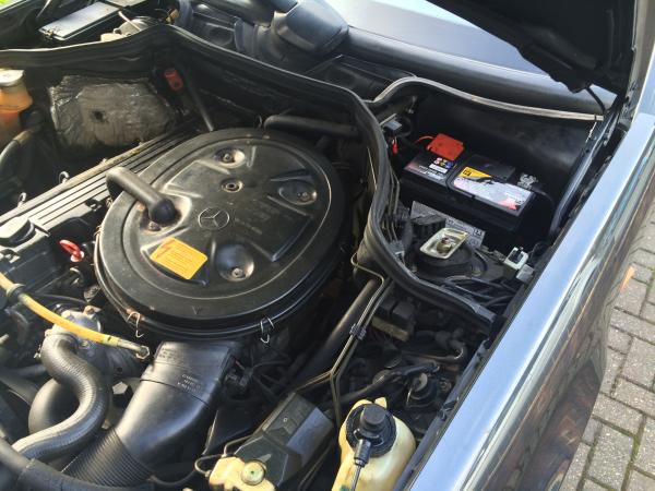 Engine bay and new battery!