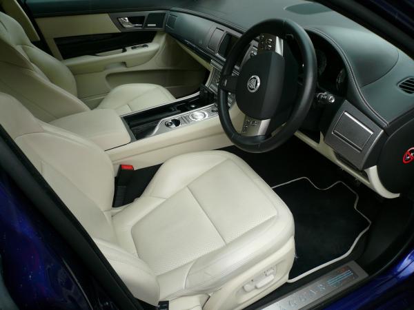 Nice Ivory Leather