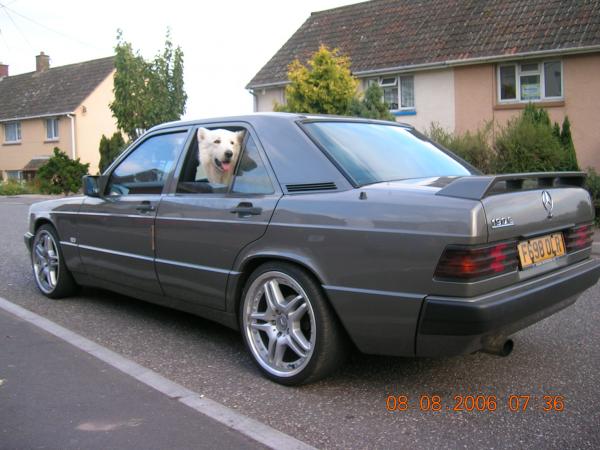 the dogs ride, even my dog rides in the 190